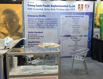 USA SSW exhibition, November 2024