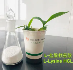 L-Lysine HCL